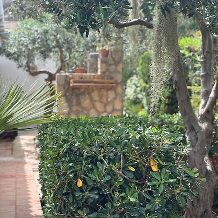 סן ויטו לו קאפו B&B Villa Alba מראה חיצוני תמונה